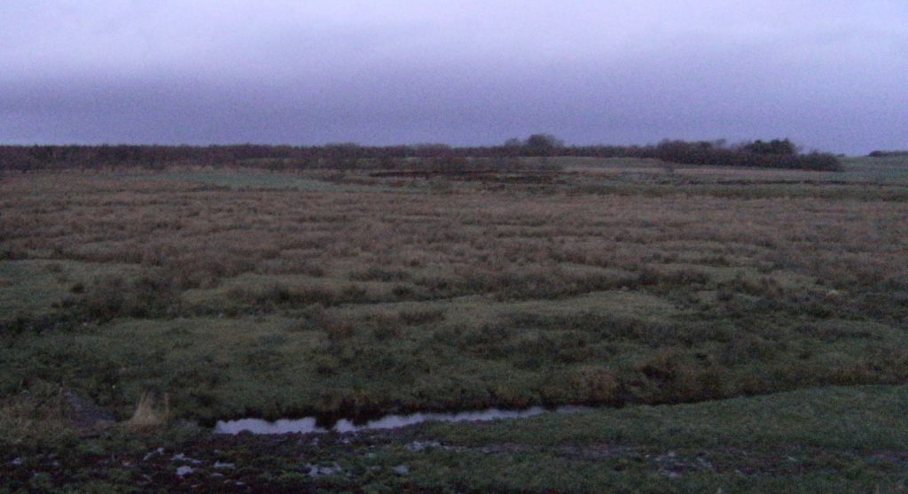 Borremose, ein Moor in Nordjütland, in der Nähe des Silberfundes.