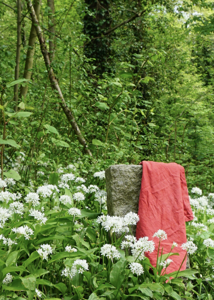 Phantastische Kurzgeschichten - Das rote Tuch im Frühling