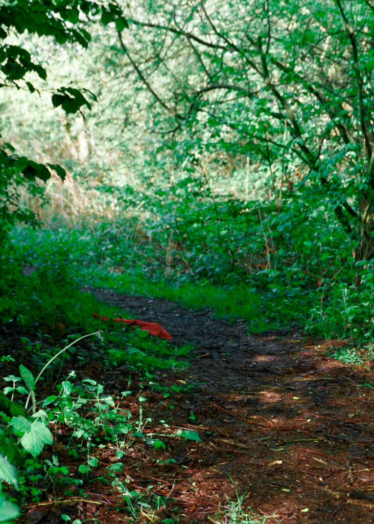 Phantastische Kurzgeschichten - Das rote Tuch auf dem Waldweg