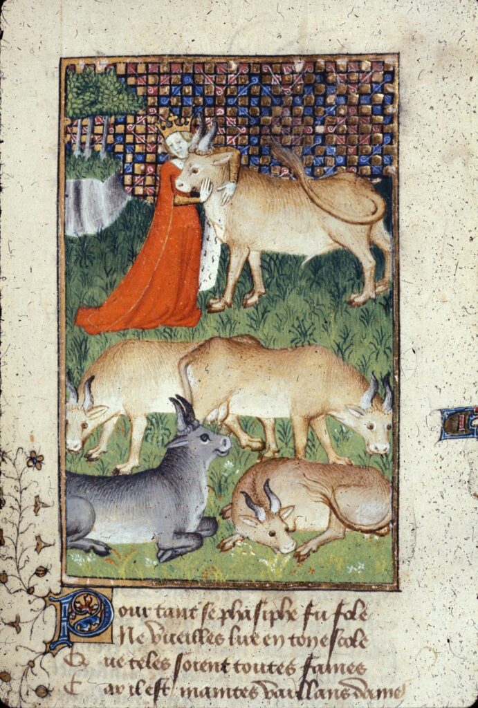 Ausschnitt einer mittelalterlichen Miniatur: Pasiphae und der Stier