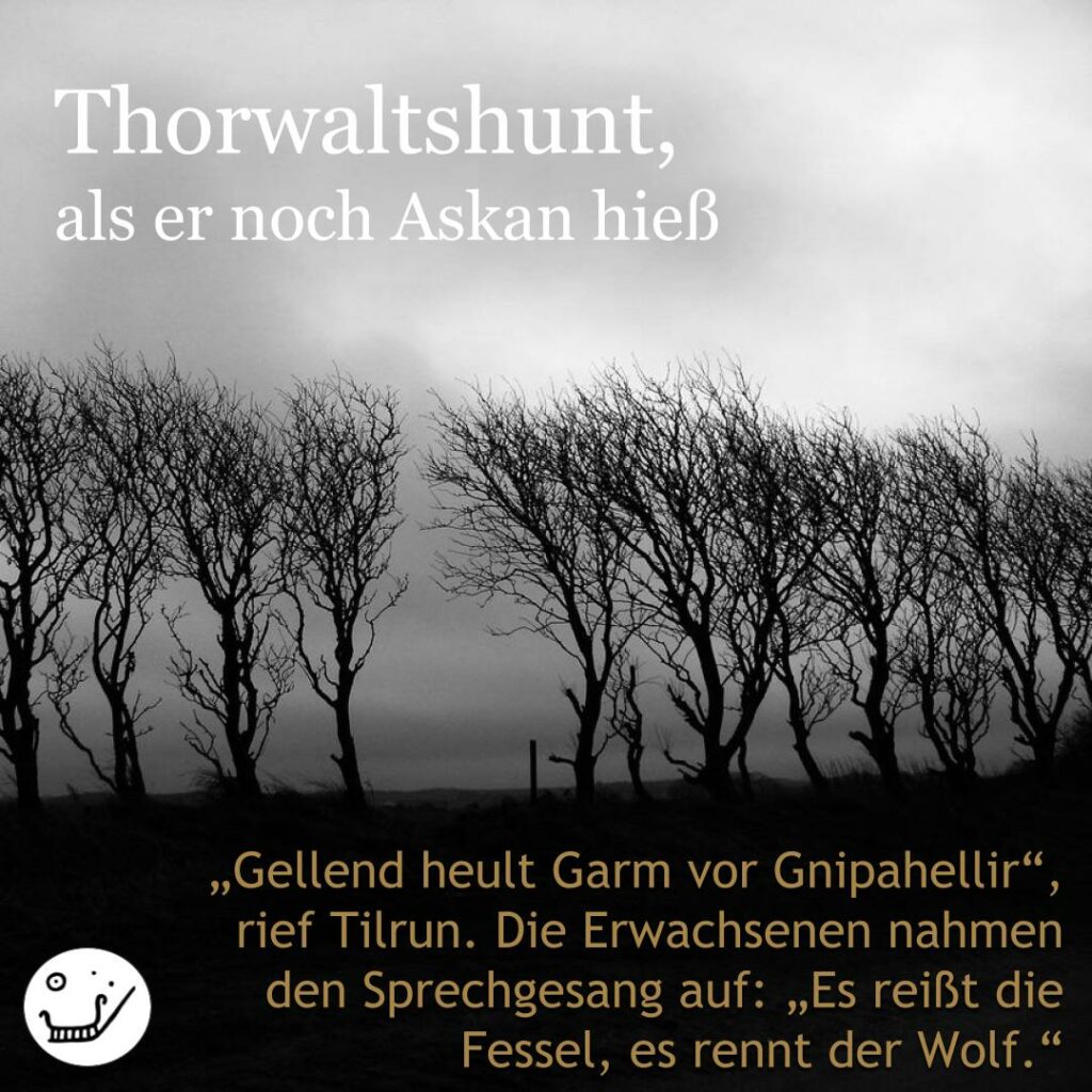 Textschnipsel Thorwaltshunt (gehört zu den Hauptfiguren des Romans "Der silberne Kessel")