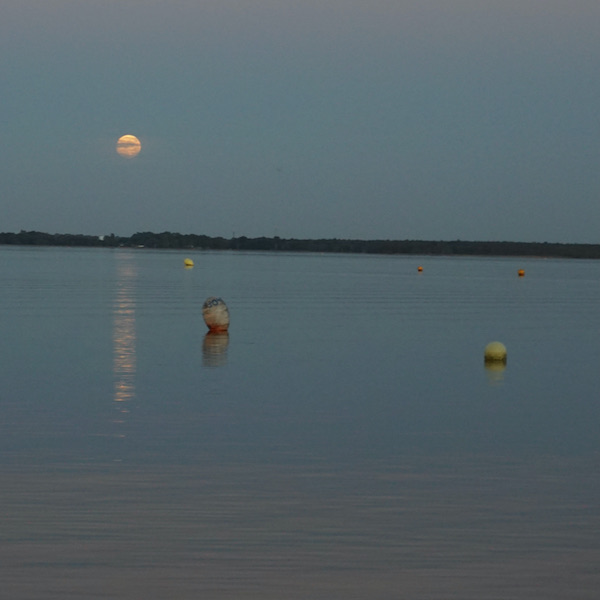 Der See von Maubuisson mit aufgehendem Vollmond