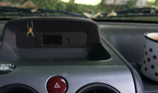 Das Cockpit unseres Autos mit Spinnennetz und Spinne